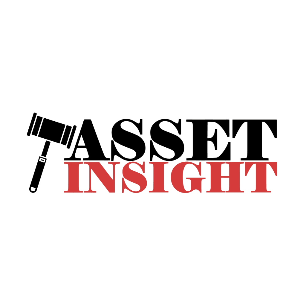Asset Insight